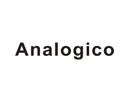 ANALOGICO商标原图 第18类皮革箱包