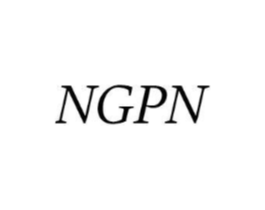 NGPN商标原图 第20类家具