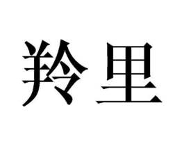 商标原图