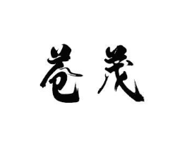 商标原图