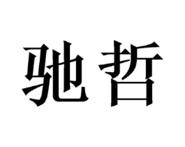 驰哲商标原图 第21类厨房洁具