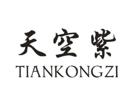 天空紫商标原图 第25类服装鞋帽