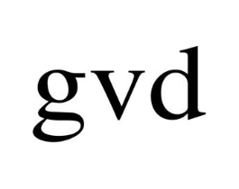GVD商标原图 第25类服装鞋帽