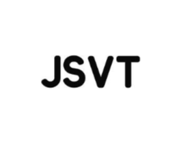 JSVT商标原图 第25类服装鞋帽