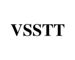 VSSTT商标原图 第25类服装鞋帽