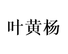 叶黄杨商标原图 第25类服装鞋帽