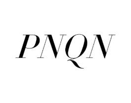 PNQN商标原图 第25类服装鞋帽