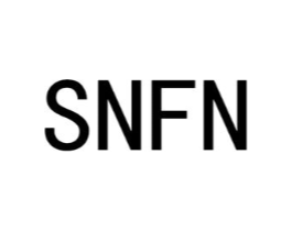 SNFN商标原图 第25类服装鞋帽