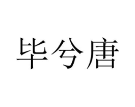 毕兮唐商标原图 第25类服装鞋帽