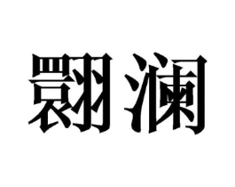 翾澜商标原图 第25类服装鞋帽