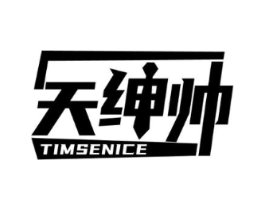 天绅帅 TIMSENICE商标原图 第25类服装鞋帽