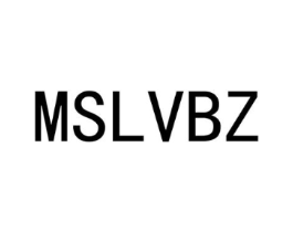 MSLVBZ商标原图 第25类服装鞋帽