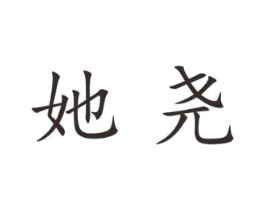 她尧商标原图 第25类服装鞋帽