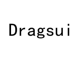 DRAGSUI商标原图 第25类服装鞋帽