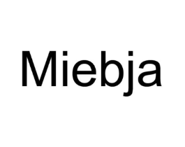 MIEBJA商标原图 第25类服装鞋帽