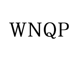 WNQP商标原图 第25类服装鞋帽
