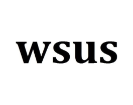 WSUS商标原图 第25类服装鞋帽