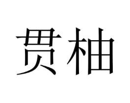 贯柚商标原图 第25类服装鞋帽