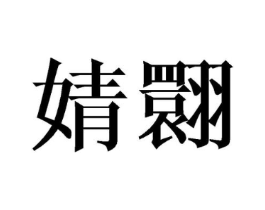 婧翾商标原图 第25类服装鞋帽