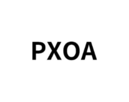 PXOA商标原图 第25类服装鞋帽