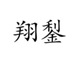 翔鋫商标原图 第25类服装鞋帽