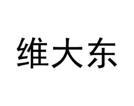 维大东商标原图 第25类服装鞋帽