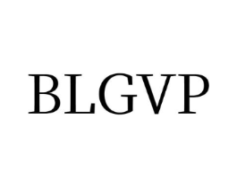 BLGVP商标原图 第25类服装鞋帽