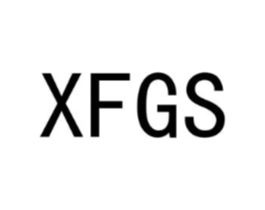 XFGS商标原图 第25类服装鞋帽