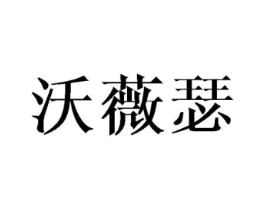 沃薇瑟商标原图 第25类服装鞋帽