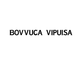 BOVVUCA VIPUISA商标原图 第25类服装鞋帽