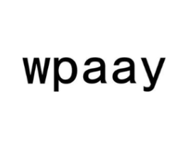 WPAAY商标原图 第25类服装鞋帽