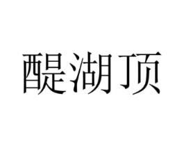 醍湖顶商标原图 第25类服装鞋帽
