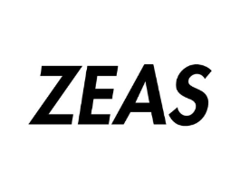 ZEAS商标原图 第25类服装鞋帽