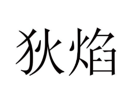 狄焰商标原图 第25类服装鞋帽
