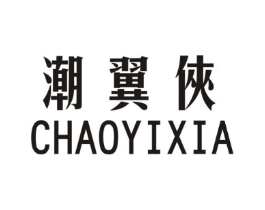 潮翼侠商标原图 第25类服装鞋帽