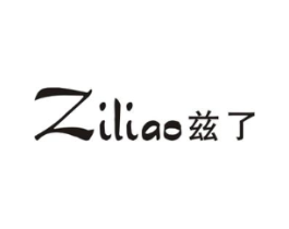 兹了商标原图 第25类服装鞋帽