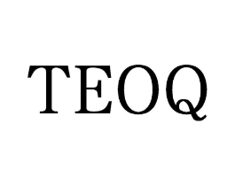 TEOQ商标原图 第25类服装鞋帽