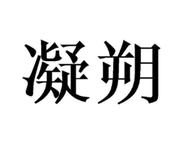 凝朔商标原图 第25类服装鞋帽