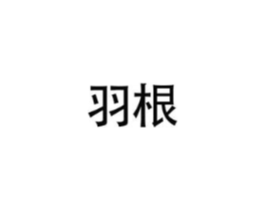 羽根商标原图 第25类服装鞋帽