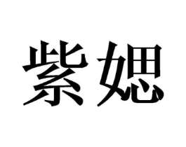 紫媤商标原图 第25类服装鞋帽