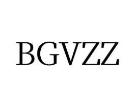 BGVZZ商标原图 第25类服装鞋帽
