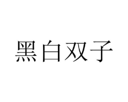 黑白双子商标原图 第25类服装鞋帽
