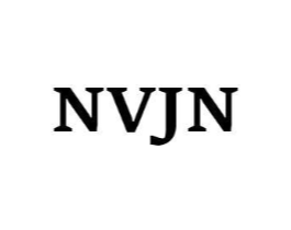 NVJN商标原图 第25类服装鞋帽
