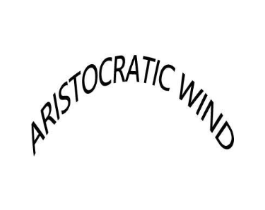 ARISTOCRATIC WIND商标原图 第25类服装鞋帽