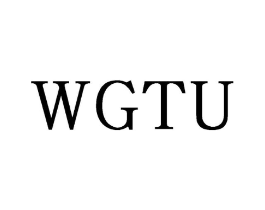 WGTU商标原图 第25类服装鞋帽