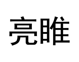 亮睢商标原图 第25类服装鞋帽