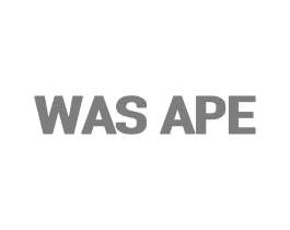 WAS APE商标原图 第25类服装鞋帽