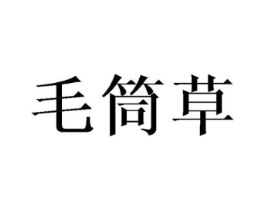 毛筒草商标原图 第25类服装鞋帽