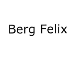 BERG FELIX商标原图 第25类服装鞋帽