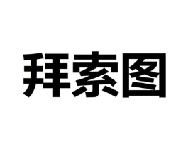 拜索图商标原图 第25类服装鞋帽
